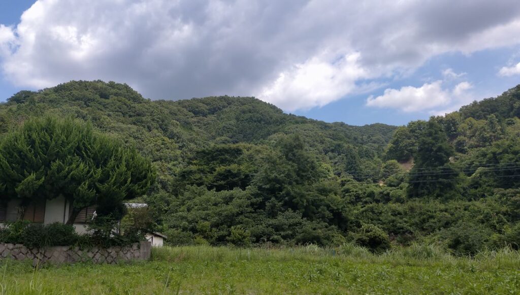 妙見山