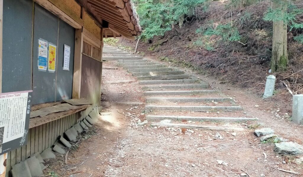 清滝バス停から愛宕山へ⑬