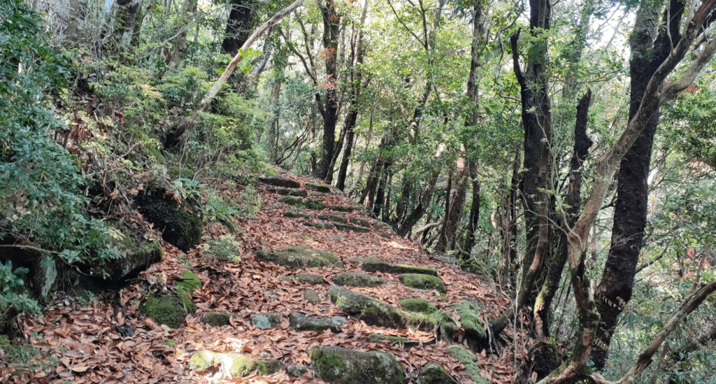 妙法山から熊野那智大社へ⑥