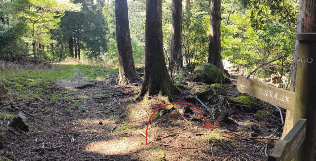 妙法山から熊野那智大社へ⑨