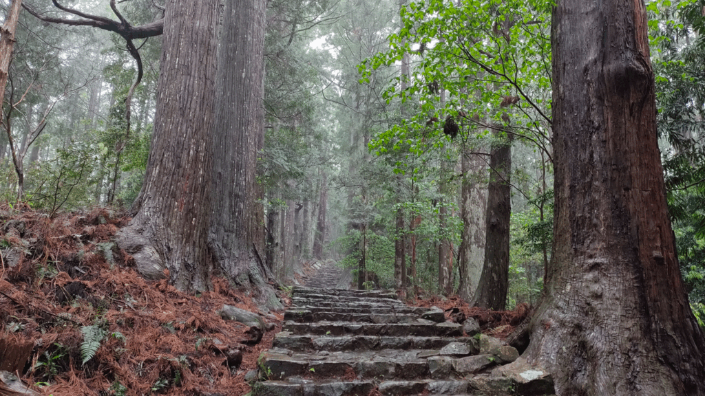 大門坂バス停から那智の滝/熊野那智大社へ③