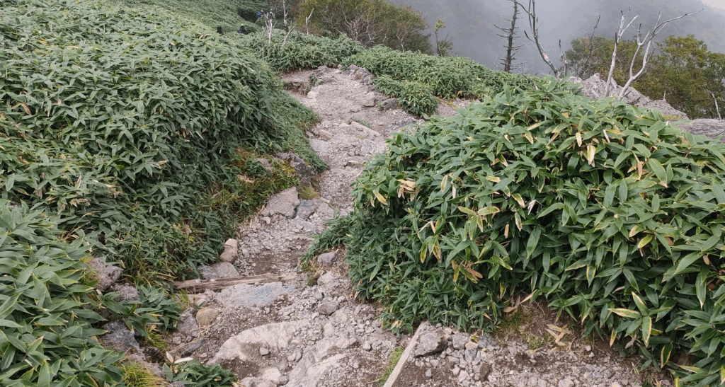 剣山から大劔神社へ②