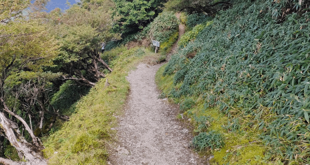 大劔神社から下山
