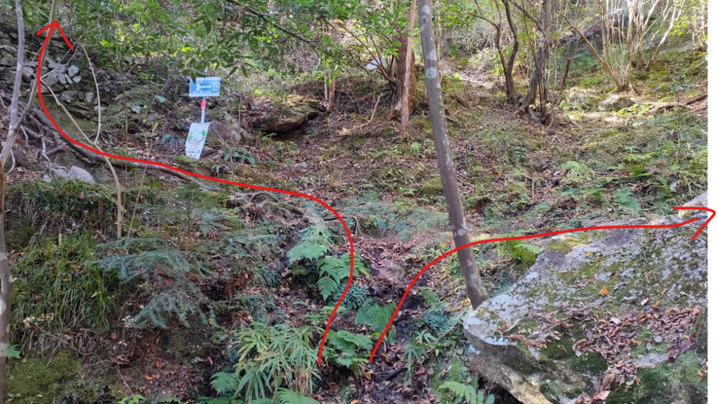 御在所岳ロープウェイから御在所岳へ⑧