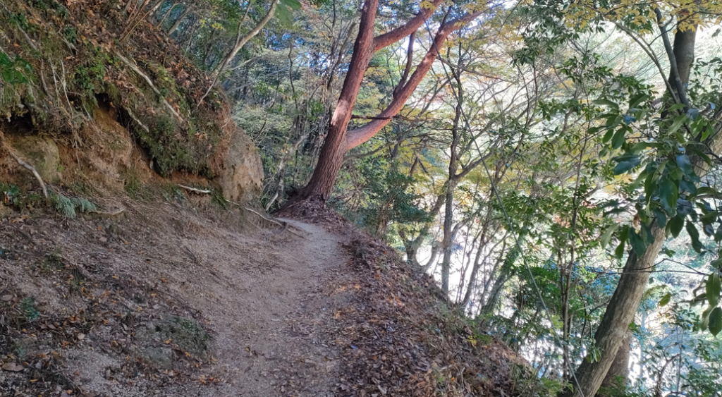 御在所岳ロープウェイから御在所岳へ⑫
