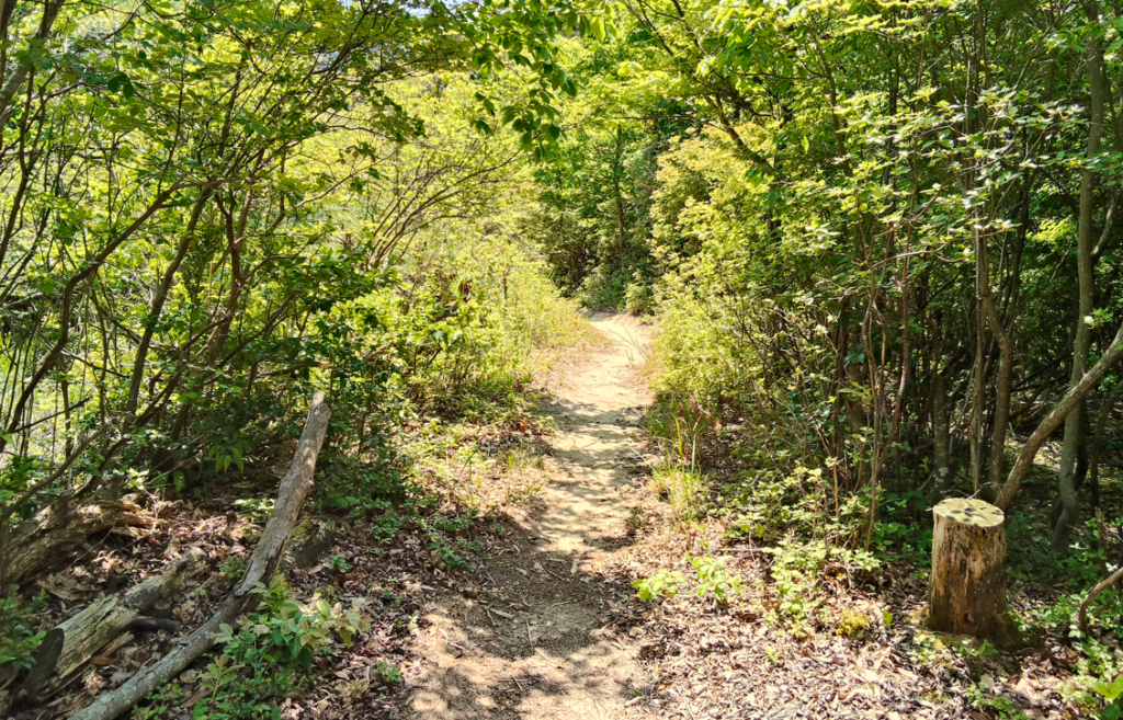 滝上山展望台から平岩山へ②