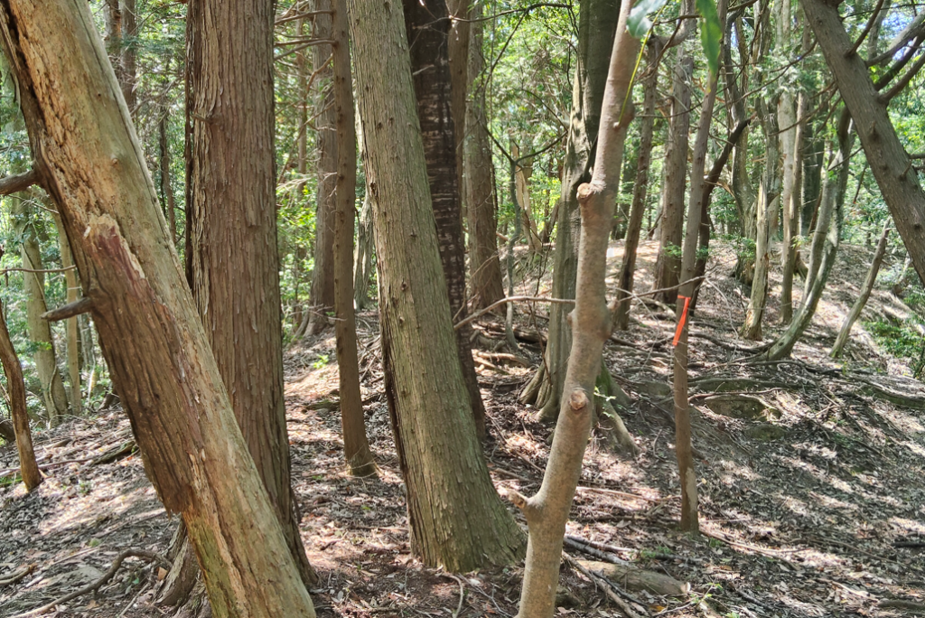 滝上山展望台から平岩山へ④