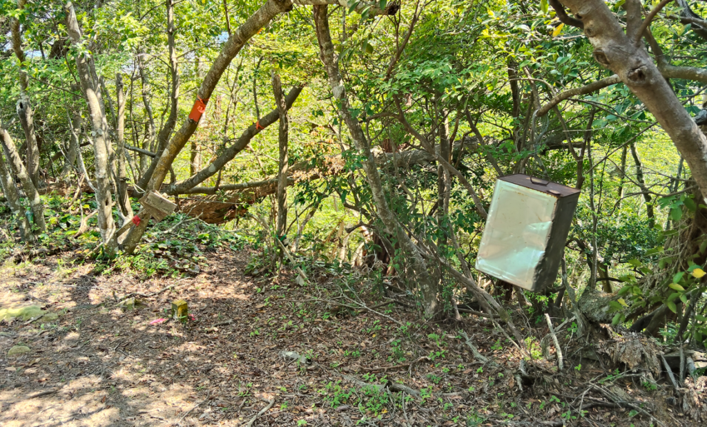 妙見山から題目山へ①