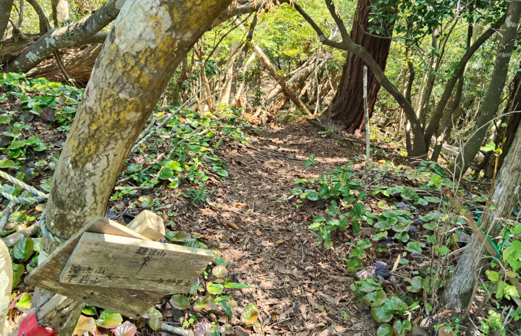妙見山から題目山へ②