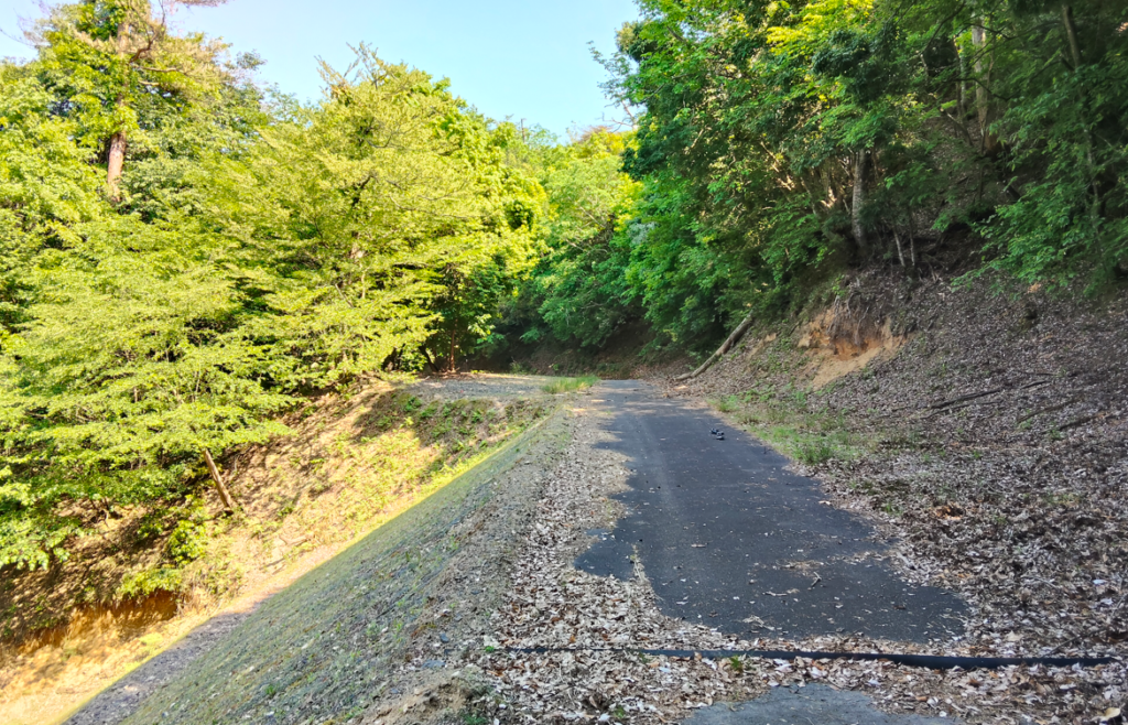 妙見山から題目山へ④