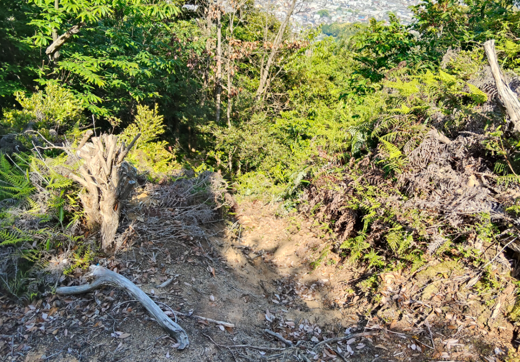 題目山からの下山①