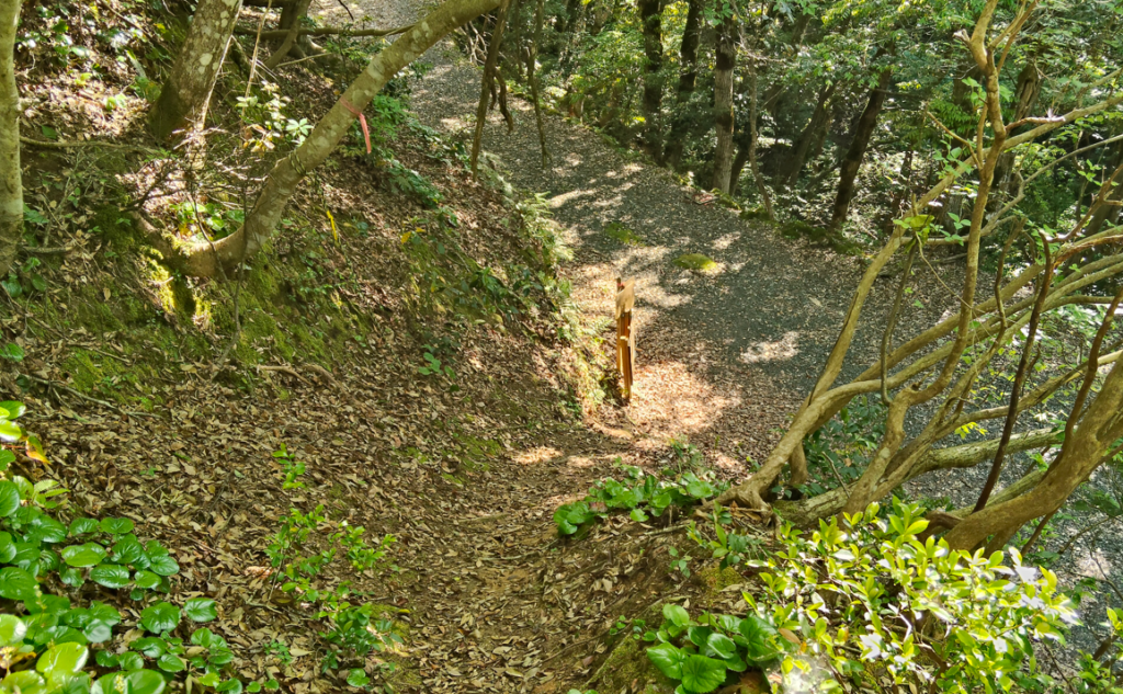 題目山からの下山③