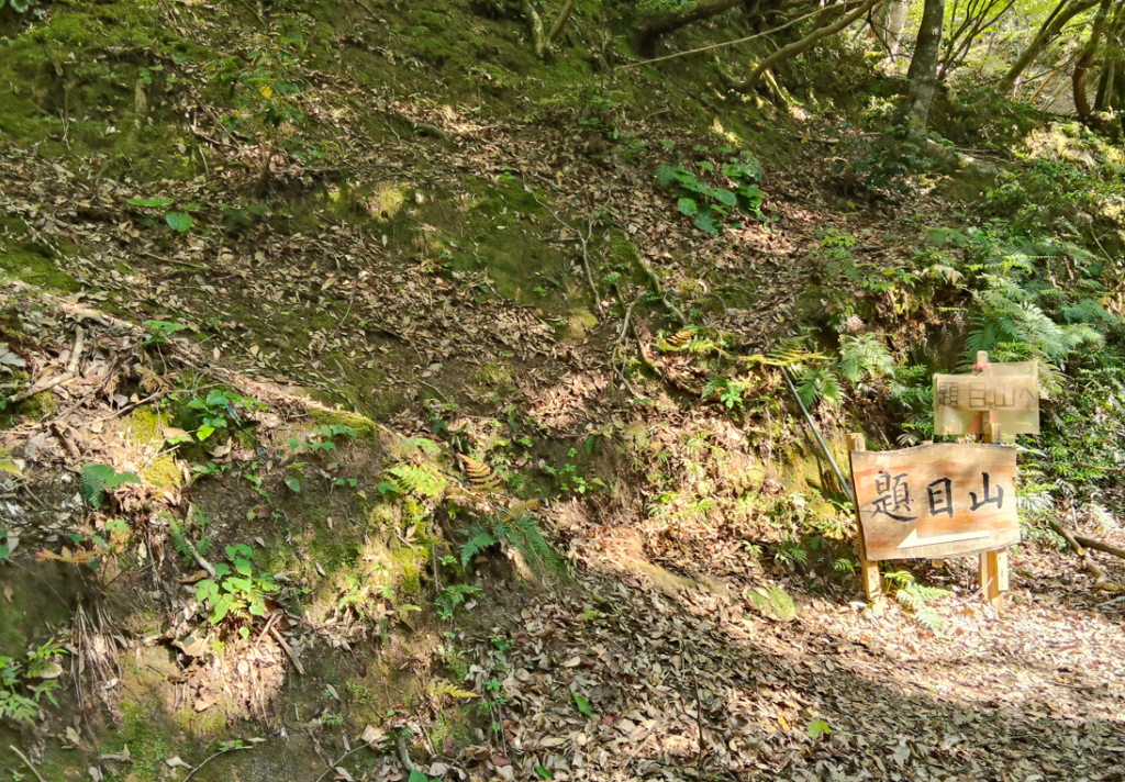 題目山からの下山④