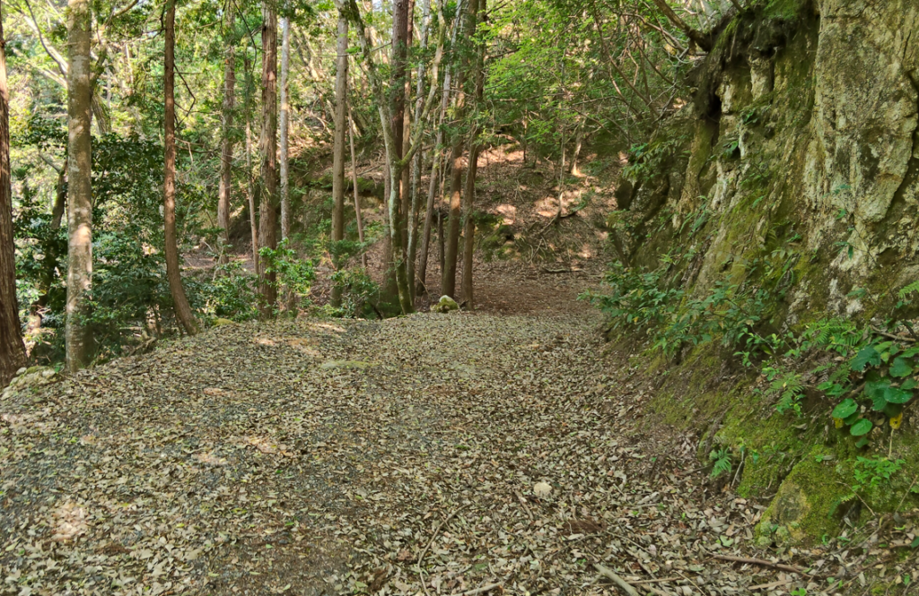 題目山からの下山⑤